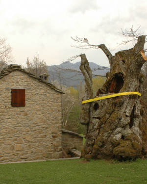 Foto Osteria del Bugeon