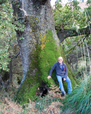 Foto Quercia di Contrada Iannolu