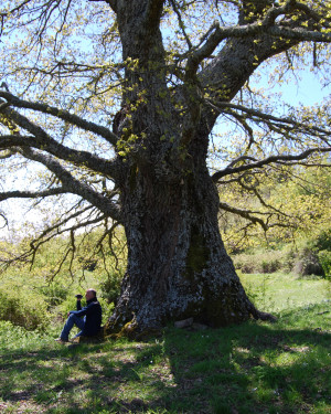 Foto Cerro grande dell'Acquasanta