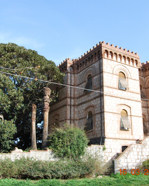 Foto Ficus di Villa Bianco