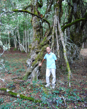 Foto Biancospino Bosco Mangalavite