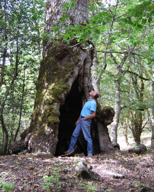 Foto Cerro cavo di Contrada Moglia