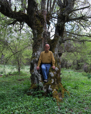 Foto Melo selvatico Bosco Grappidà