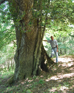 Foto Cerro di Case Moglia