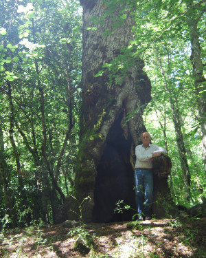 Foto Cerro cavo di Contrada Moglia