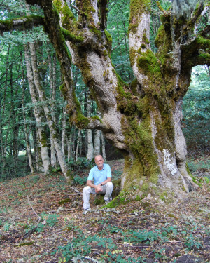 Foto Acero campestre 2 di Bosco Mangalavite