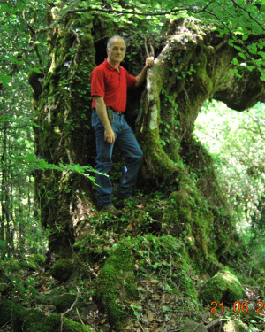 Foto Acero di Monte Cedro 1