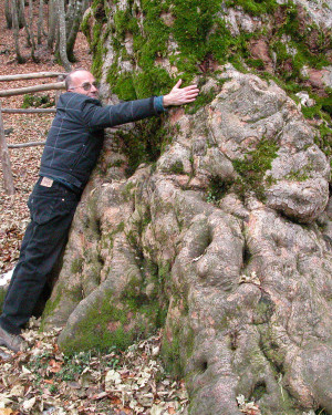 Foto Acerone di Monte Soro