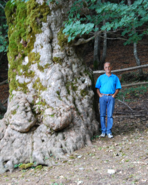 Foto Acerone di Monte Soro