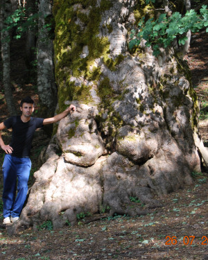 Foto Acerone di Monte Soro