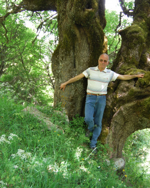 Foto Acero campestre di Contrada La Nespola