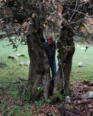 Foto Melo di Piano del Vescovo 3