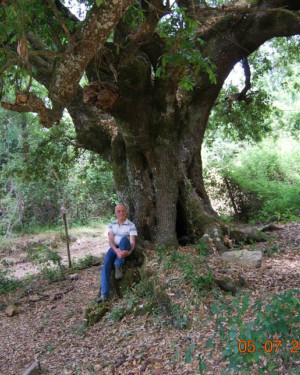 Foto Leccio di Contrada Cannella