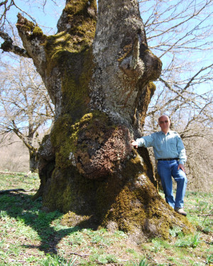 Foto Cerro di Portella Scarno-Contrada Sambuchello 1