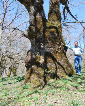 Foto Cerro di Portella Scarno-Contrada Sambuchello 1