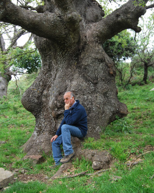 Foto Roverella di San Costantino 3