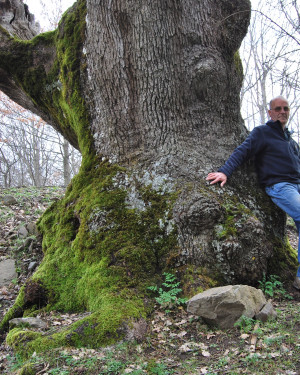 Foto Roverella di Margio Salice