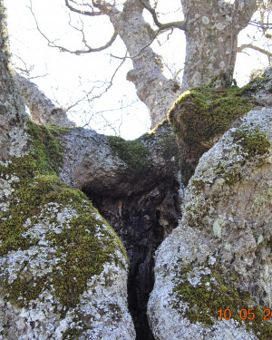 Foto Cerro di Contrada Giuffrè n. 2