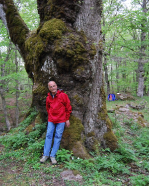 Foto Rovere di Bosco Moglia 1