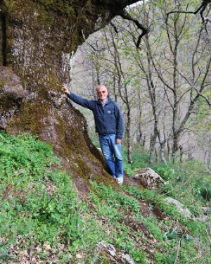 Foto Quercia di Malabotta 2