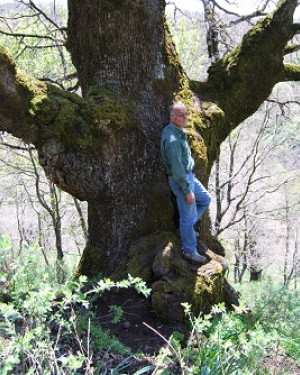 Foto Quercia di Malabotta 2