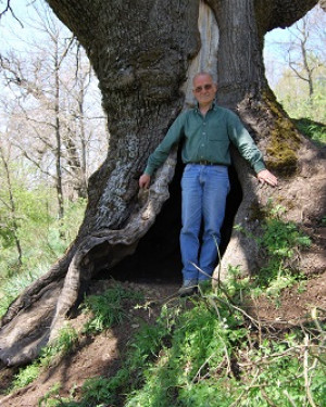 Foto Quercia di Malabotta 2