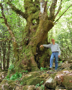 Foto Acero di Solazzotto