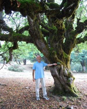 Foto Melo di Crescimanno di Piano Menta N°2