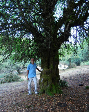 Foto Melo di Crescimanno di Piano Menta N°3