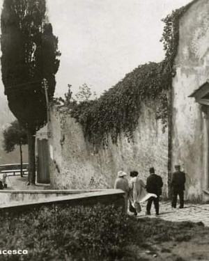 Foto Il leccio della via di San Francesco a fiesole