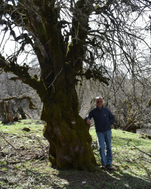 Foto Melo di Crescimanno di Piano Menta N°3