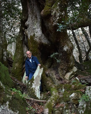 Foto Acero di Bosco Moglia 2