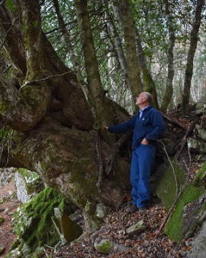 Foto Acero di Bosco Moglia 2