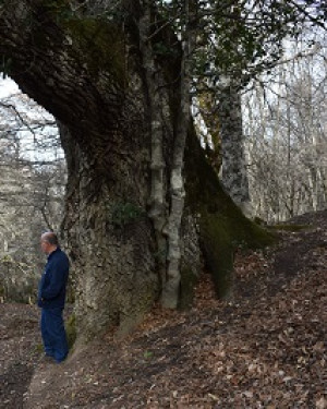 Foto Cerro di Case Moglia