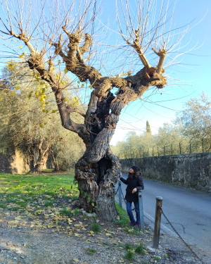 Foto Il Gelso di Sangiorgio