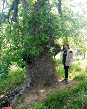 Foto Quercia di Ferretta