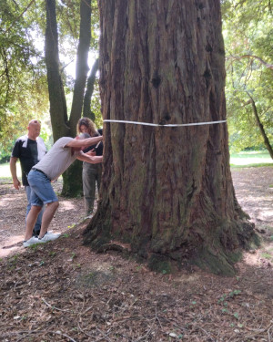 Foto Le Sequoie di Pomino