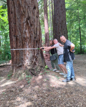 Foto Le Sequoie di Pomino