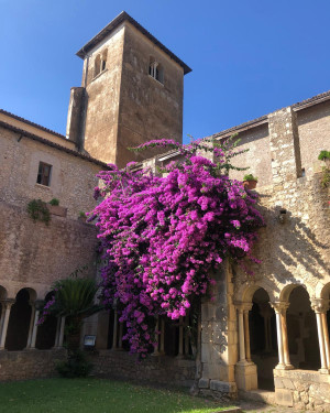 Foto La Bouganville di Valvisciolo