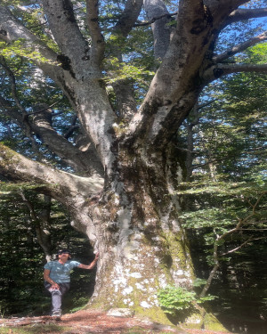 Foto Faggione di Monteseccoli