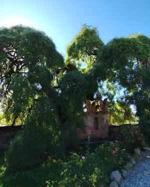 Foto Sofora del castello di Bornato