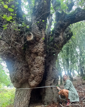 Foto Ontano Sa Menta