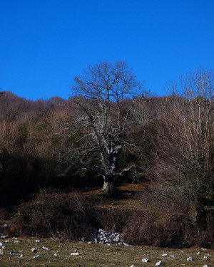 Foto il Cerro del Pratone