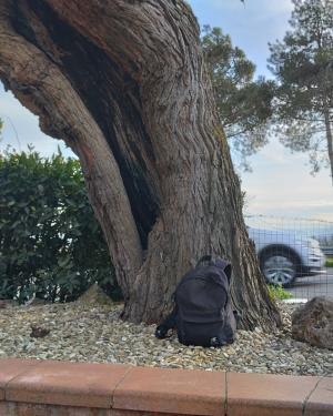 Foto il Gelso Osteria dei giusti